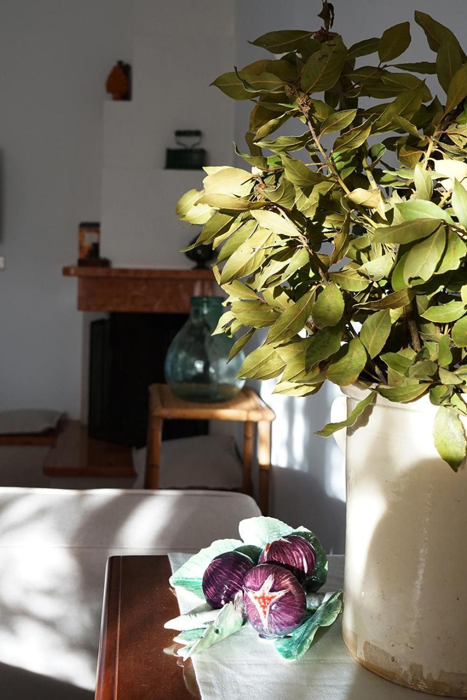 Villa Gioia 오스투니 외부 사진